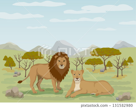 Savanna and lions in the daytime 131582980