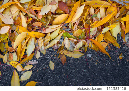 Autumn cleaning.Orange yellow leaves swept into pile on asphalt Autumn cleaning.Orange yellow leaves swept into pile on asphalt 131583426