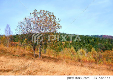 Watercolor autumn landscape with blue sky Watercolor autumn landscape with blue sky 131583433