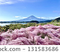 Muhlenbergia and Mt. Fuji 131583686