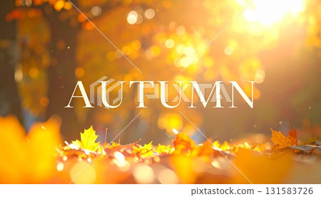 Elegant serif font "Autumn" Colorful fallen leaves background 131583726