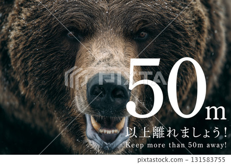 熊：請保持至少50公尺的距離 131583755