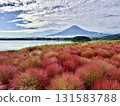 Mount Fuji and kochia beginning to change color 131583788