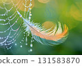 Spiderweb and Feather with Dew in Morning Mist 131583870
