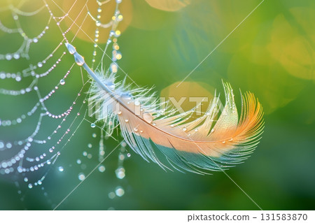 Spiderweb and Feather with Dew in Morning Mist 131583870