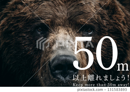 Bears: Stay at least 50m away 131583893