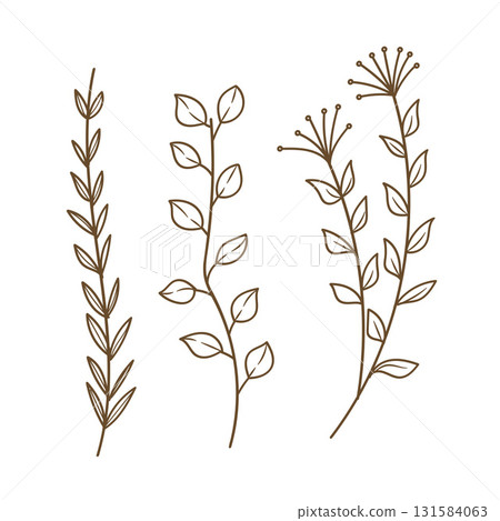 Hand Drawn Doodle Plants and Leaves Line Art.Simple Botanical Sketch Collection Vector Illustration 131584063