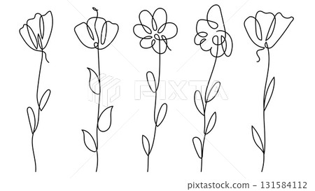 Hand drawn continuous line art drawing flowers botanical elements vector illustration 131584112