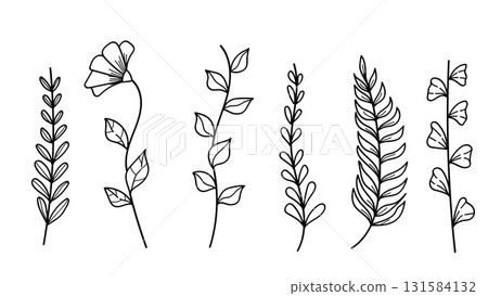 Botanical Plants and Flowers Hand Drawn Line Art Collection Set for Decoration and Design.Vector illustration Botanical Plants and Flowers Hand Drawn Line Art Collection Set for Decoration and Design.Vector illustration 131584132