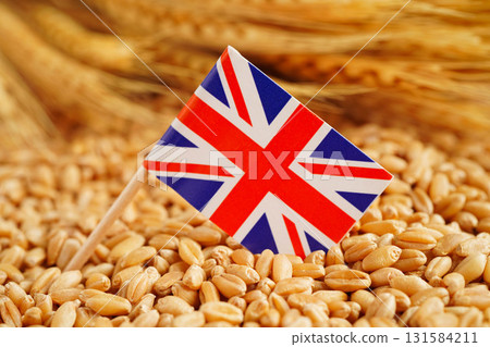 United Kingdom flag on grain wheat, trade export and economy concept. 131584211