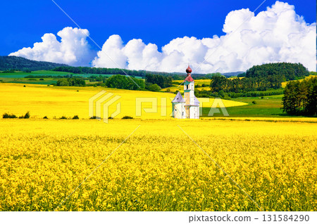 Beautiful rapeseed field and church in Bohemia Beautiful rapeseed field and church in Bohemia 131584290