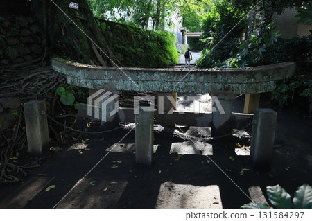 黑神埋沒鳥居 131584297