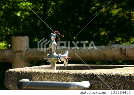 [Aomori City, Aomori Prefecture] Water fountain and red dragonflies at Nogika Park 131584492