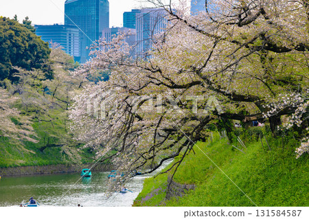東京皇居地區 東京皇居地區 131584587