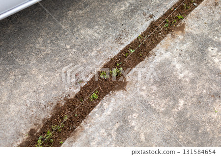 清除停車場縫隙中的草 131584654