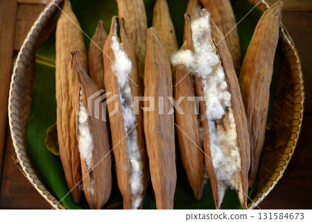 White kapok in a broken brown shell are placed in a round bamboo basket. Prepared for use as raw material for weaving into fabric. 131584673