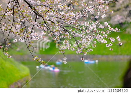 東京皇居地區 131584803
