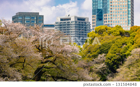 東京皇居地區 東京皇居地區 131584848