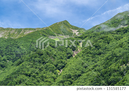 Mt. Hijiri (Oku-Hijiri) seen from the pass on the Hijirizawa hiking trail. Hijiri-dake climbing in the Southern Alps. Mt. Hijiri (Oku-Hijiri) seen from the pass on the Hijirizawa hiking trail. Hijiri-dake climbing in the Southern Alps. 131585177