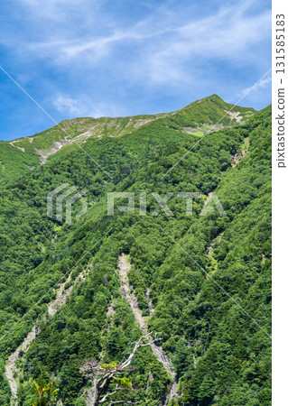 從聖澤登山道的山口仰望聖山（前聖山和奧聖山）。聖山在南阿爾卑斯山攀登。 131585183