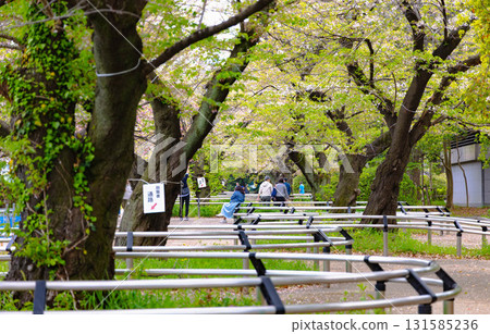 Tokyo Imperial Palace area 131585236