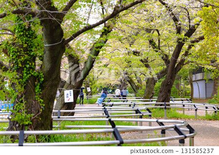 東京皇居地區 131585237