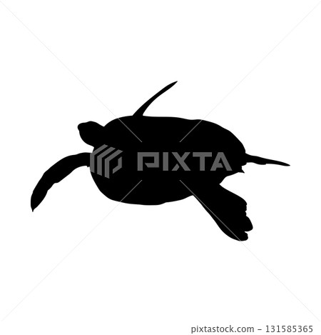 flat turtle silhouette 131585365
