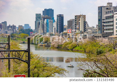 Tokyo Imperial Palace area 131585490