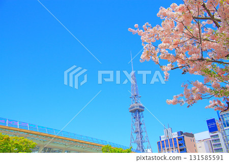 Nagoya TV Tower and cherry blossoms in Nagoya, Aichi Prefecture Nagoya TV Tower and cherry blossoms in Nagoya, Aichi Prefecture 131585591