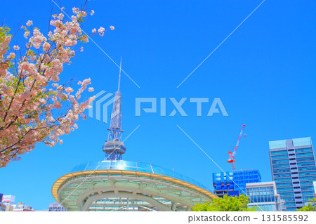 Nagoya TV Tower and cherry blossoms in Nagoya, Aichi Prefecture Nagoya TV Tower and cherry blossoms in Nagoya, Aichi Prefecture 131585592