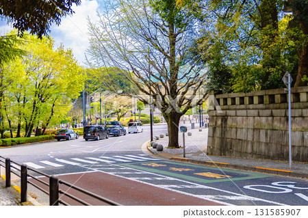 Tokyo Imperial Palace area 131585907