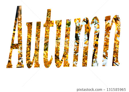 Bright leafy inscription Autumn on a yellow background Bright leafy inscription Autumn on a yellow background 131585965