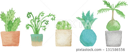 水彩風格的室內植物 水彩風格的室內植物 131586556