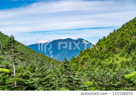 從清平小屋眺望的白松尾山。攀登南阿爾卑斯山的聖岳。 從清平小屋眺望的白松尾山。攀登南阿爾卑斯山的聖岳。 131586655