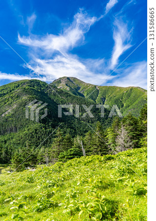 View of Mt. Hijiri (Mae Hijiri) and Mt. Ko Hijiri from Hijiridai. Hijiri climbing in the Southern Alps. View of Mt. Hijiri (Mae Hijiri) and Mt. Ko Hijiri from Hijiridai. Hijiri climbing in the Southern Alps. 131586665