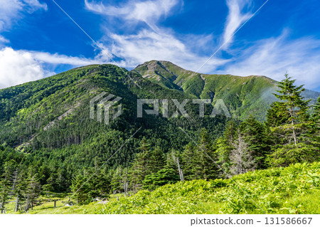 View of Mt. Hijiri (Mae Hijiri) and Mt. Ko Hijiri from Hijiridai. Hijiri climbing in the Southern Alps. View of Mt. Hijiri (Mae Hijiri) and Mt. Ko Hijiri from Hijiridai. Hijiri climbing in the Southern Alps. 131586667