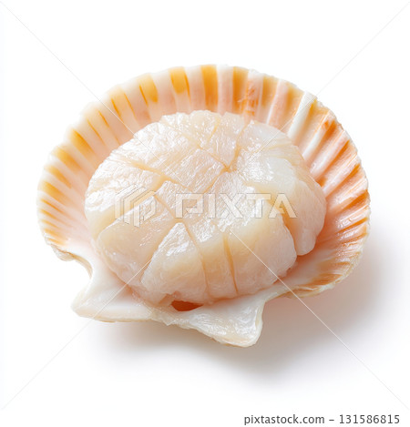 Scallop meat fresh seafood element soft white texture in natural shell, delicately sliced, isolated on white background for culinary and gourmet food concepts Scallop meat fresh seafood element soft white texture in natural shell, delicately sliced, isolated on white background for culinary and gourmet food concepts 131586815