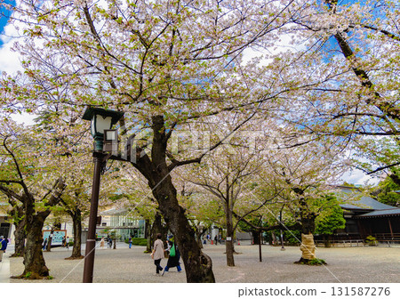 東京皇居地區 東京皇居地區 131587276