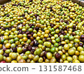 freshly harvested coffee cherries in various ripening stages, spread out on a bamboo tray for drying, showing natural processing, agriculture, and organic farming 131587468