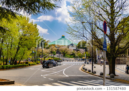 東京皇居地區 131587480