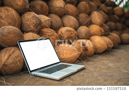 Laptop and coconuts. Calculation of sales, consumption of products, calorie counting. Laptop and coconuts. Calculation of sales, consumption of products, calorie counting. 131587528