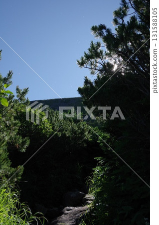 禦嶽山濁子溫泉路線的樹線 131588105