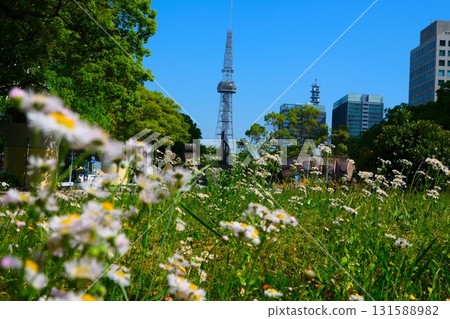 名古屋久屋大通公園 名古屋久屋大通公園 131588982