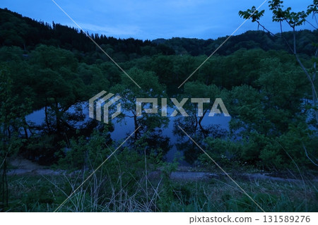 白川湖淹沒了森林 白川湖淹沒了森林 131589276