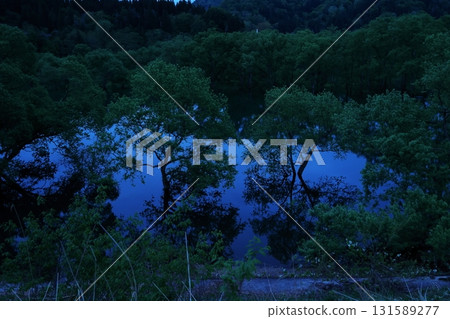 白川湖淹沒了森林 白川湖淹沒了森林 131589277