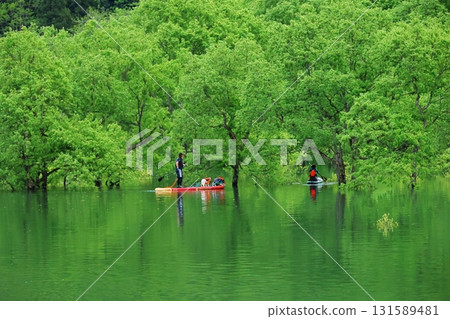 Shirakawa lake submerged forest 131589481