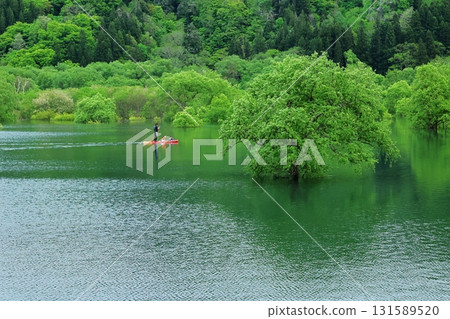 白川湖淹沒了森林 白川湖淹沒了森林 131589520