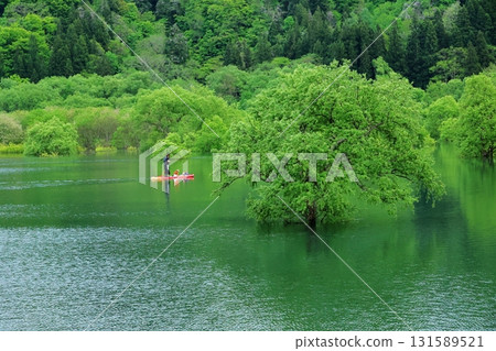 白川湖淹沒了森林 白川湖淹沒了森林 131589521