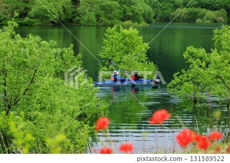 白川湖淹沒了森林 白川湖淹沒了森林 131589522