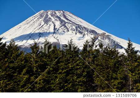 相鷹山脈的越前山：從十里木高原眺望富士山和寶永火山口 131589706